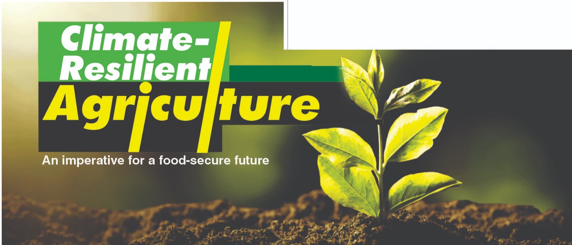 Climate - Resilient Agriculture