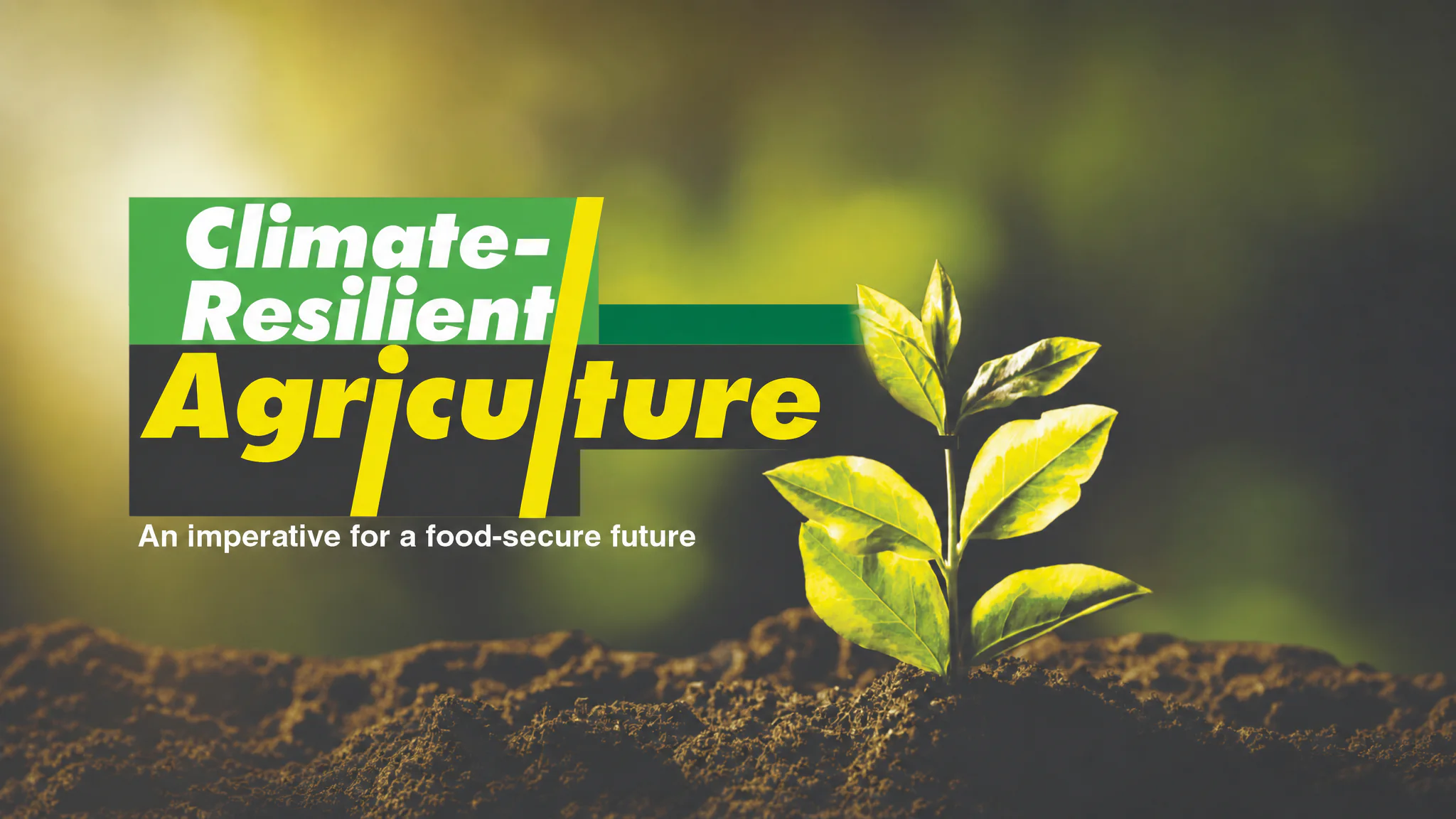Climate - Resilient Agriculture