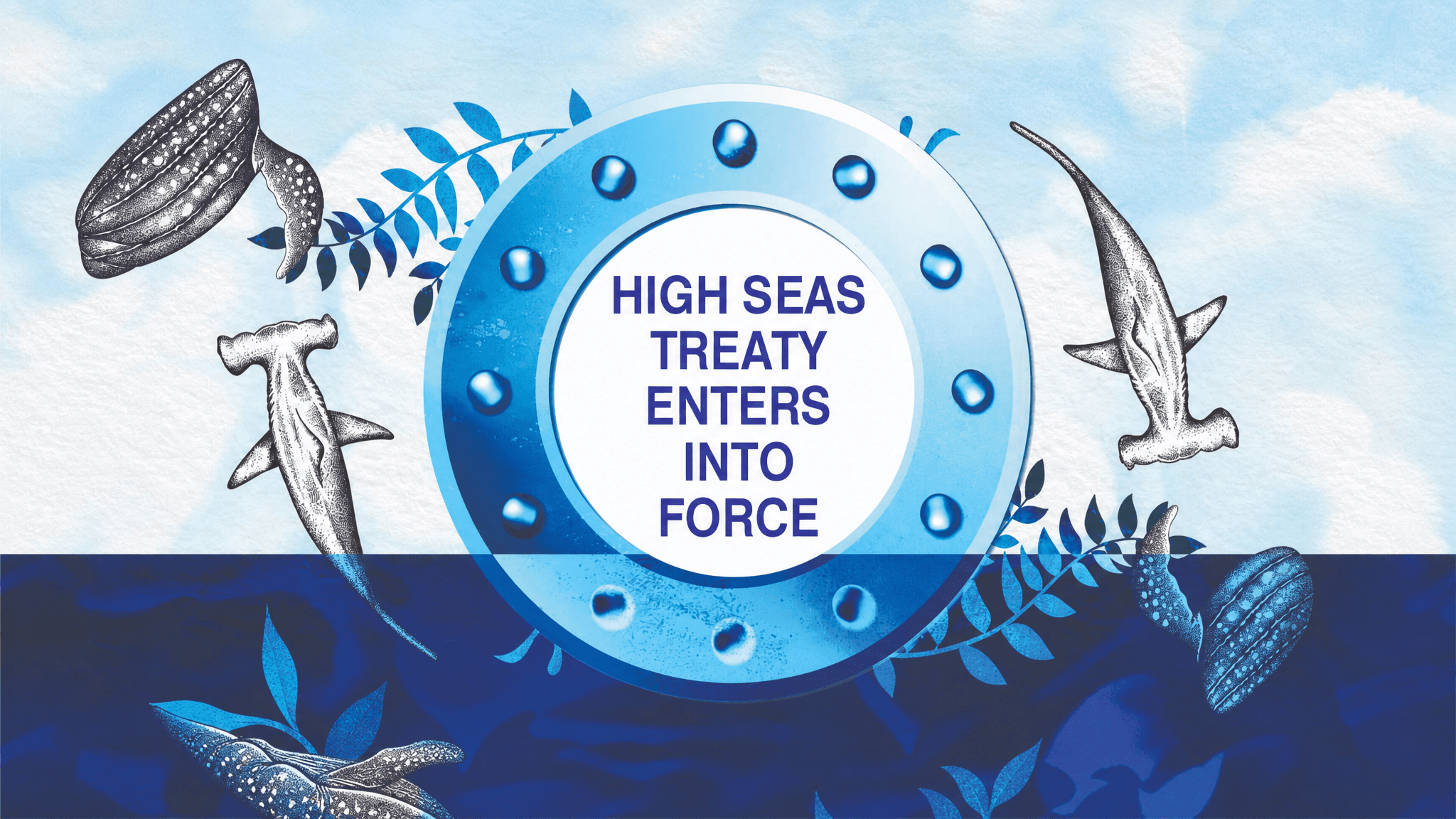High Seas Treaty Enters into Force