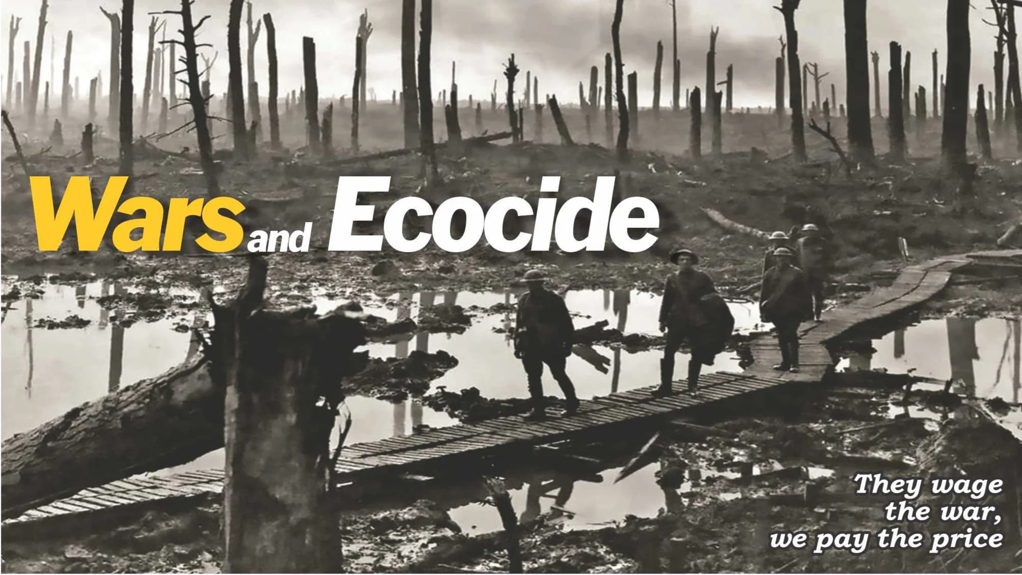 Wars and Ecocide