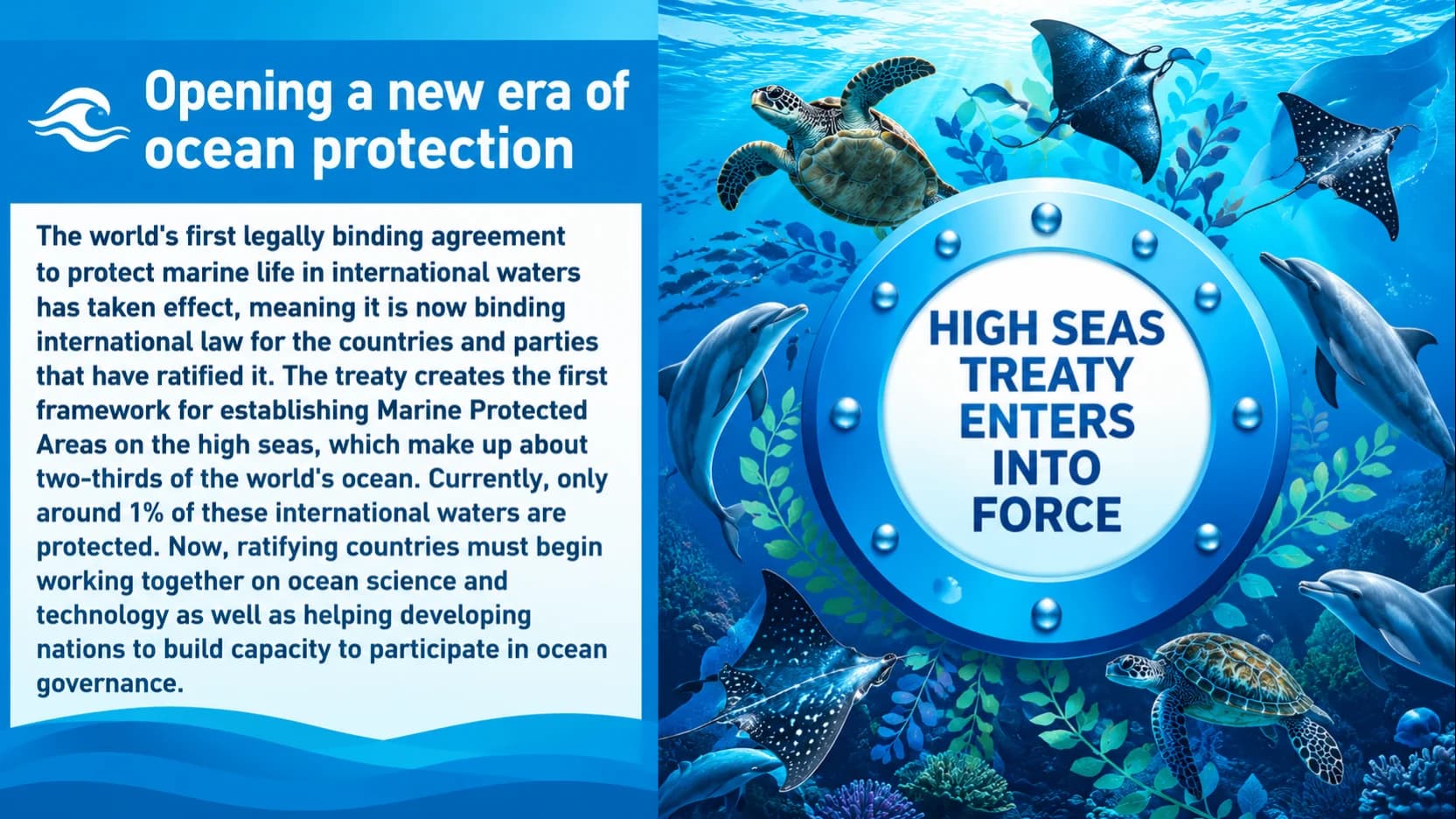 High Seas Treaty Enters into Force