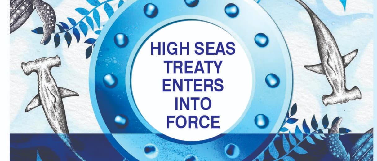 High Seas Treaty Enters into Force