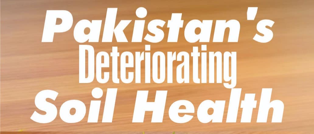 Pakistan's Deteriorating Soil Health